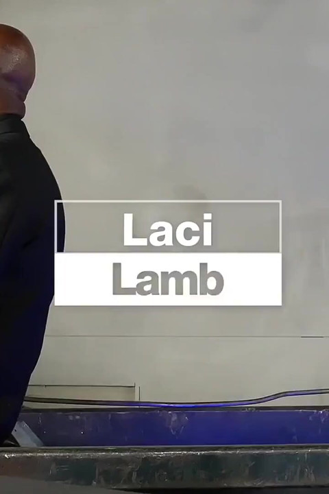 Bayan lambs Sean ile tanışıyor