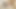 ダディ4k。細いピーチが父親とロシア語を話す
