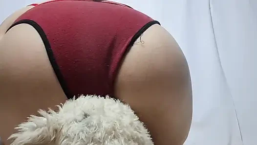 Kentut yang terhirup oleh beruang teddy