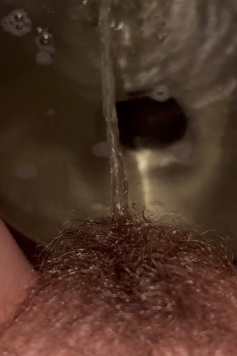 トイレのトイレ