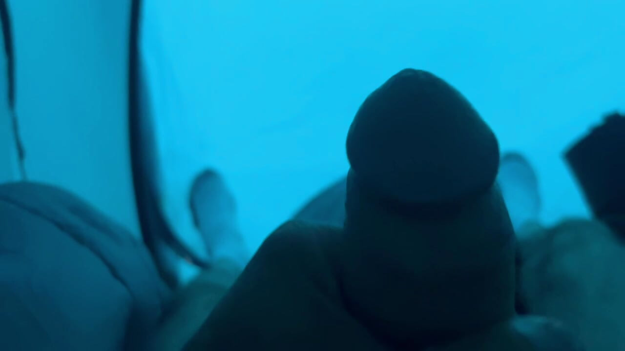 在LJT露营