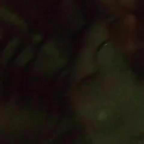 Fun in the shower