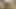 Büyük baştankara milf içinde külotlu çorap yayılır bacaklar ve alır parmaklı