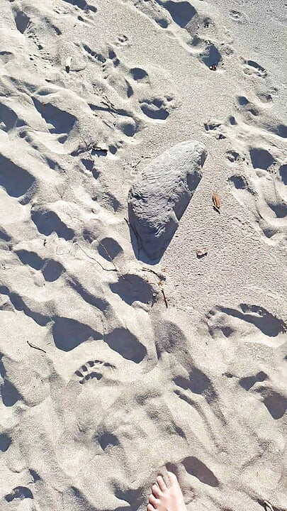 Na praia na Áustria Amigos feriado todos os dias