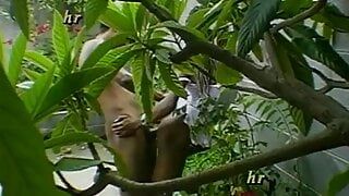 Scandaloso video pornografico degli anni '90 scoperto # 7
