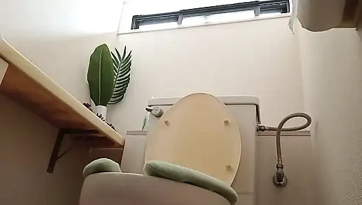 Various toilet scenes