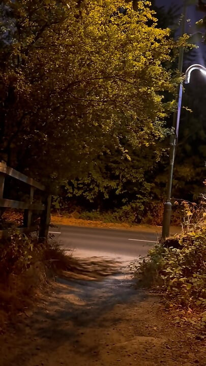 Undressing in view of traffic and walking naked in the road