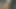 2つのセクシーなひよこはお互いの猫を喜ばせています