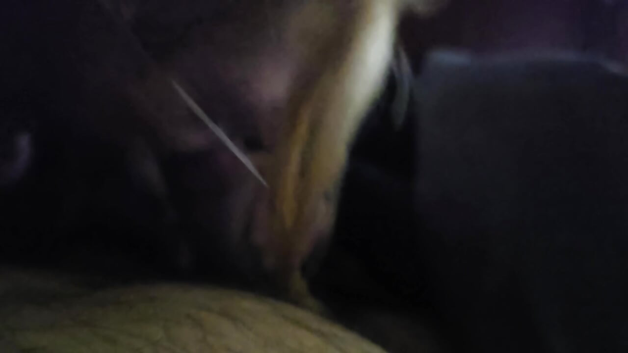 O soră vitregă reală s-a strecurat în camera mea doar pentru a-mi suge ejacularea înăuntru orală cu spermă