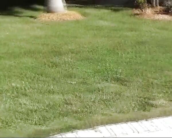 Huge Cock, Huge Cum Shot!