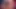 Goth Black Pink Hair Big Tits Ass Slut Blowjob and Fuck (100% AI Generated)