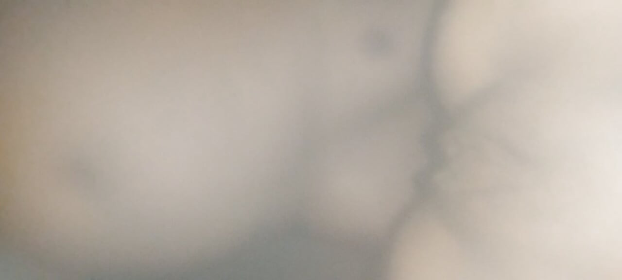 কাম ক্যাম রিভার্স পি.ও.ভি