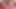 Stepmom pulsating creampie closeup sperm wet pussy.