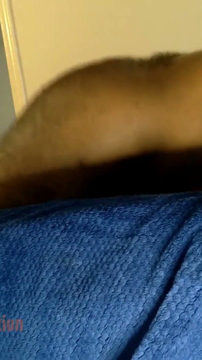 Thot in Texas - African American Sex | Clip 2