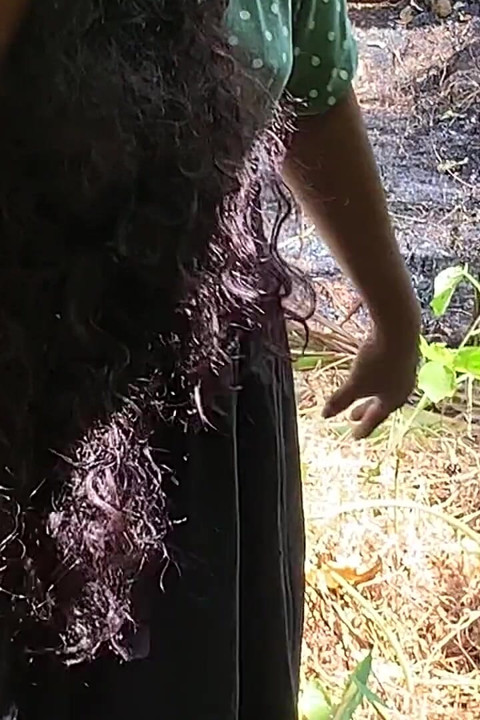 When I Went to the Forest to Pick Grain