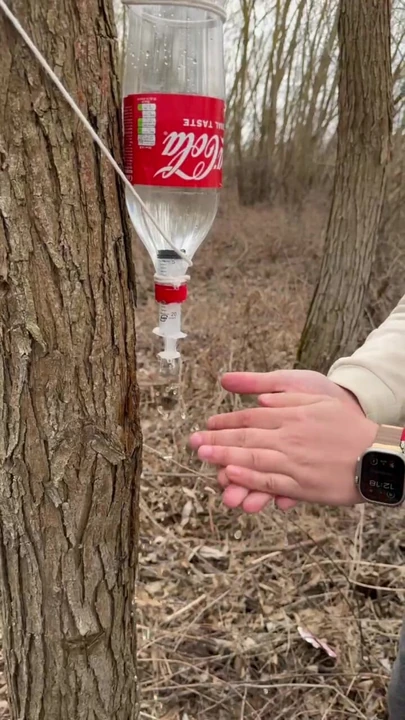 Survival lifehack bushcraft ✅ survival  camping lifehacks outdoors forest bushcraft shorts