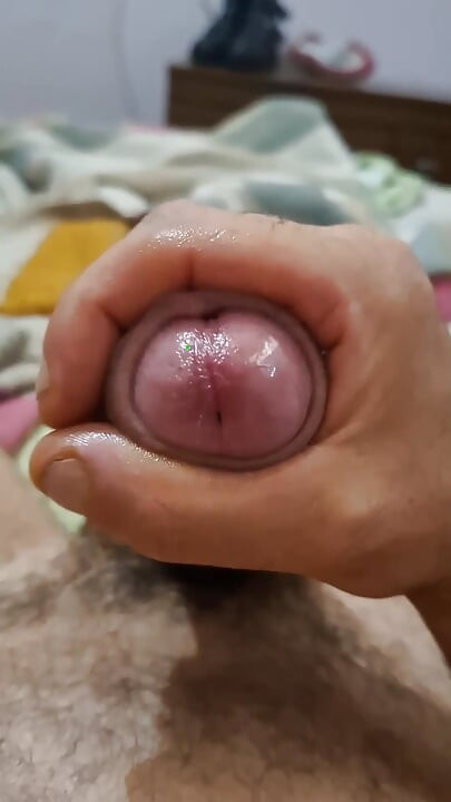 Huge cock close-up