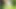 Running slo mo in the garden naked