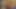 黒い森 - DVDリー