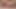 Cock worshiping at its finest