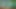 Little Mac cum tribute