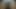Desi Gay Boy Tiger PoP Black Dick