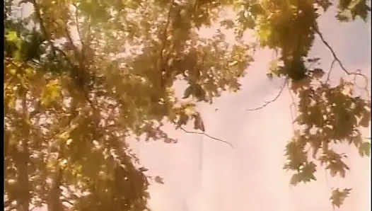 Şehvetli Asyalı seks tanrıçası parkta sıkı pembe amcığı parçalıyor