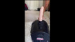 Pregled videozapisa