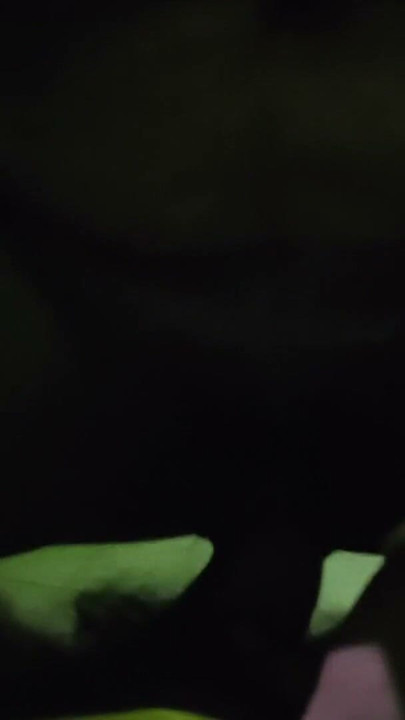 Husband Wife Indian Desi Sex Video Bhabhi | Clip 1