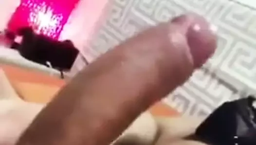 seksi tranny horoz 228