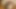 ビッグコックによるホットでセクシーな女の子ソフィアの最高の顔面クソビデオ
