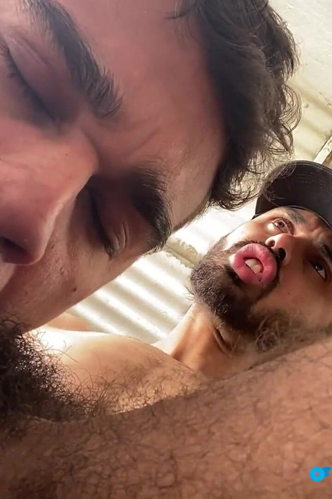 Grande pau boquete compilação