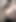 Seksi, çekici bir ibne anal stimülasyondan ve büyük bir yaraktan boşalıyor, sarkmasıyla mastürbasyon yapıyor ve fışkırtmaya yol açıyor.