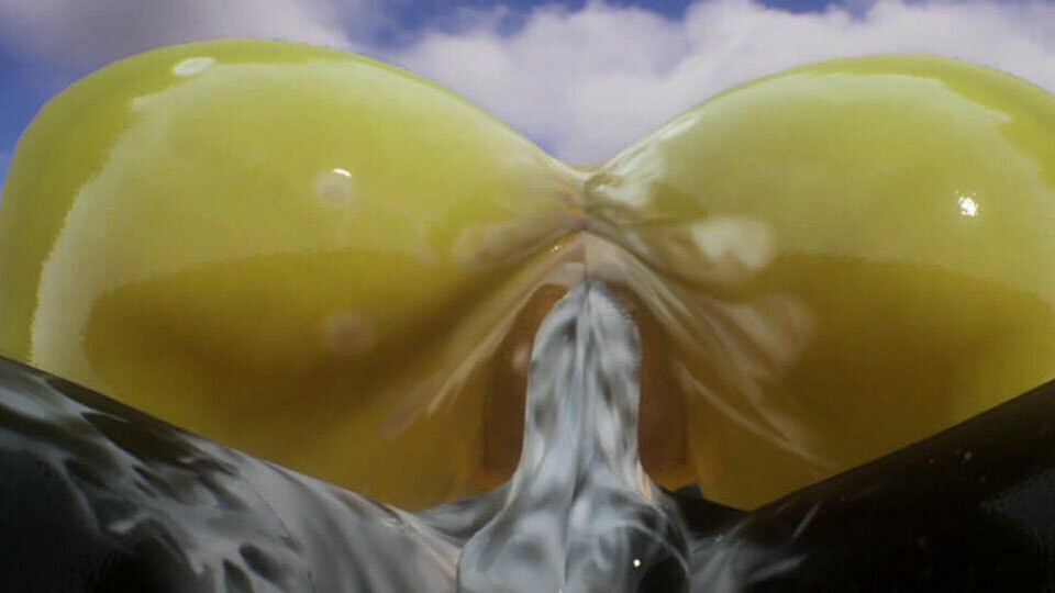 WILD LIFE, PERFECT HOT ASS SHEMALE FUCKED, INTENSE HARD SEX