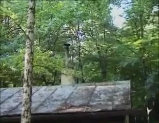 Stationen im Wald