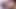 Шлюшку-лизующую задницу Nina Rivera доминируют Porsha Carrera и Don Whoe