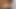 Femdom (menginjak tangan)