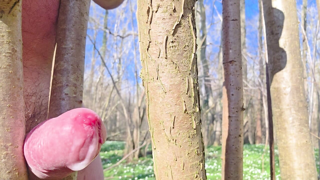 Relaxed Sunday in the forest