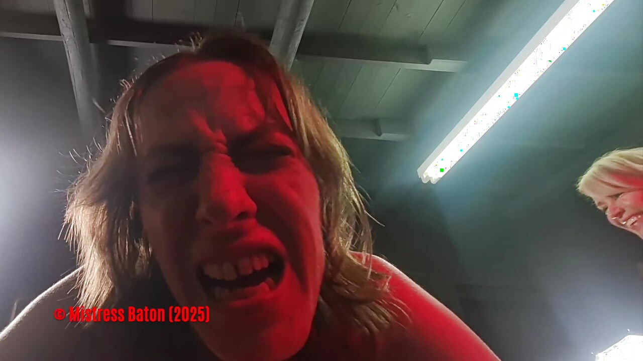 मेरे सभी sjamboks और Ochsenziemers