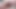 セクシーなギャッパーのシェリルは太くて濃い陰毛を持っています。