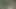 this is how I played while walking in the woods