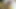Yine azgın üvey erkek kardeşimi mastürbasyon yaparken buluyorum - İspanyolca porno