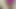 wet big hairy pussy masturbation and orgasms, close-up