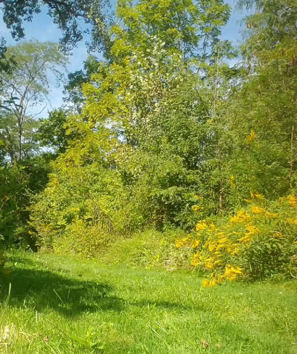 Great day for a naked run