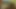 彼の巨根はどんどん私の喉に押し付けられていました