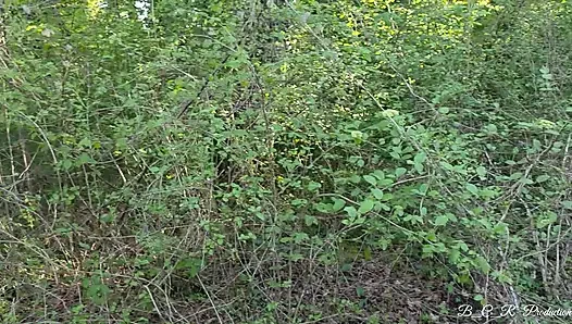 Im Wald Verloren… Und Plötzlich Wird Es Gefährlich Heiß