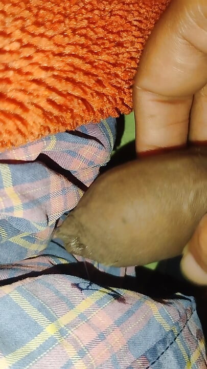 Feeling very naughty