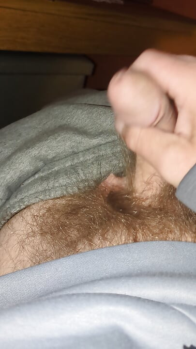 Noćna sperma