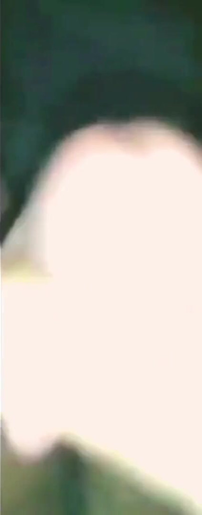 Bangladeshi hot boy handjob