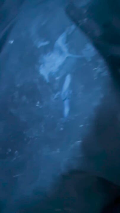 BBC CUM STAIN SHORTS COMPILATION: P.1